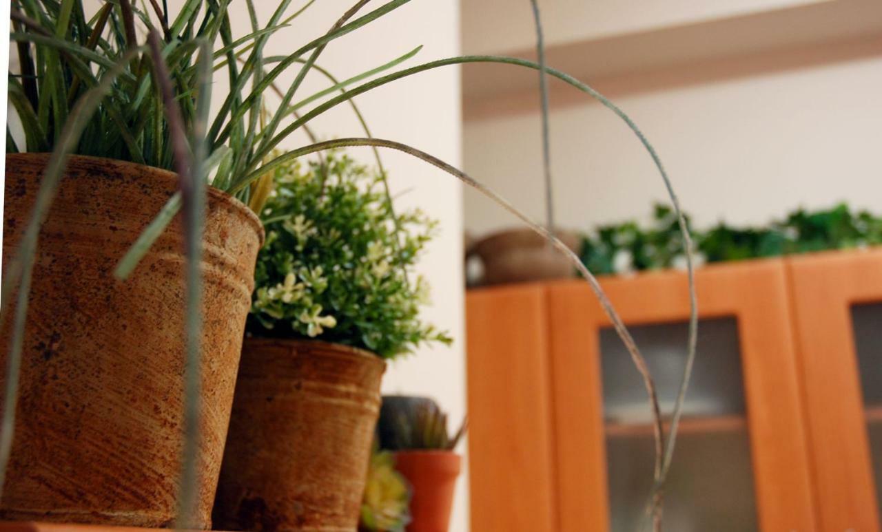 Acropolis, Urban Lifestyle Apartment Athen Exterior foto